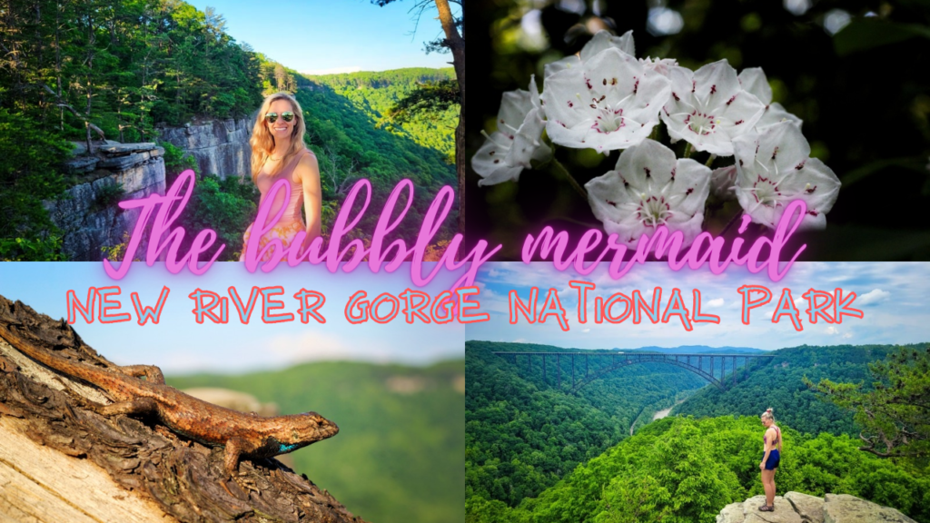 Five Amazing Things to Do in New River Gorge National Park - The Bubbly ...